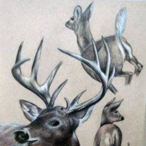 Meet your Posher, Sue